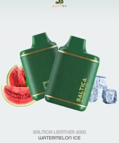 SALTICA-LEATHER-6000-DISPOSABLE-WATERMELON-ICE